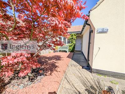 Picture 41